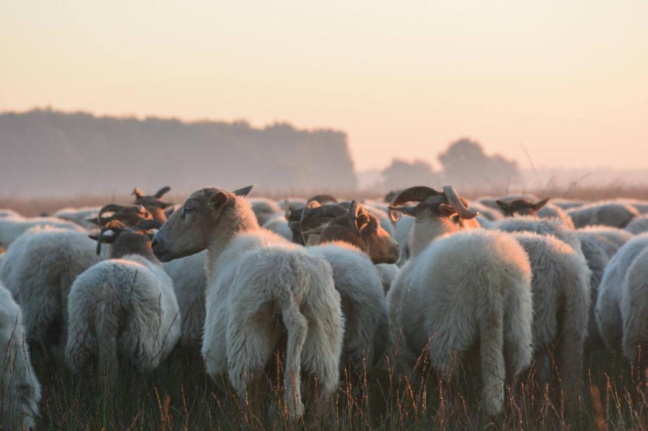 Wapen Van Exloo Exteriér fotografie